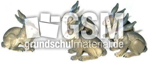 Hasen1+4.jpg